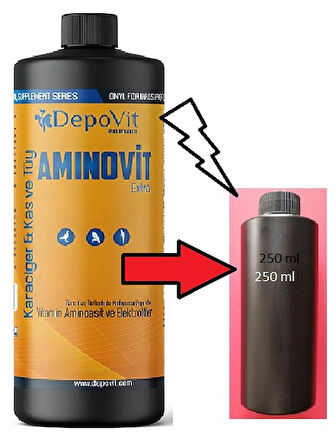 250 ML DEPOVİT AMİNOVİT EKSTRA -(AKTARMA ÜRÜN)