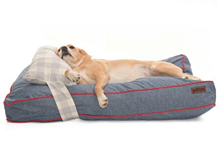 Köpek Yatağı ve Yastık Takımı - Matagot Large
