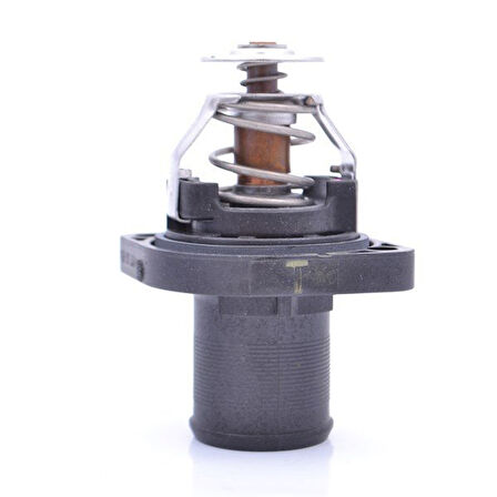Citroen C4 Termostat (2004-2010) 2.0 1338A0