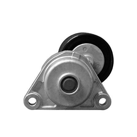 Chevrolet Lacetti Alternatör Gergisi Komple (2003-2012) 1.6, 1.4 96349976