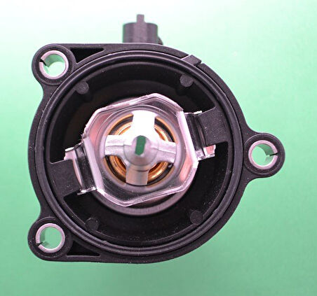 Opel Adam Termostat (2013-2017) 1.2 25200454