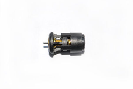 Volkswagen Bora Termostat (1998-2005) 1.6 032121110B