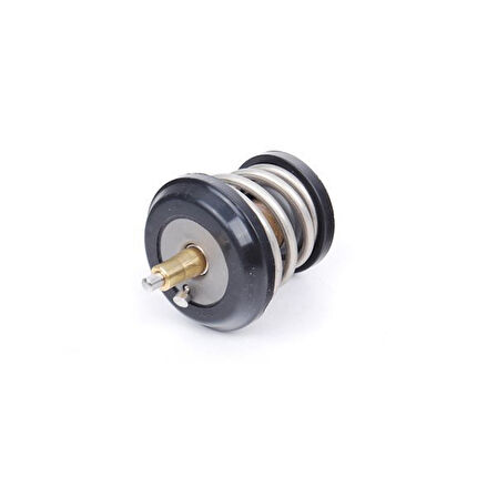 Audi A4 Termostat (2008-2012) 1.8, 1.8 TFSI, 2.0 TFSI 06H121113B