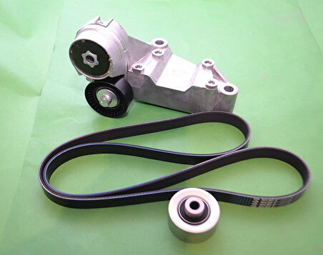  Focus Alternatör Gergisi Komple (1998-2004) 1.8 L TDCI 1S4Q6A228AF