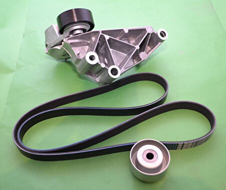  Focus Alternatör Gergisi Komple (1998-2004) 1.8 L TDCI 1S4Q6A228AF