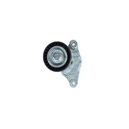 Citroen Ds5 Alternatör Gergisi Komple (2016-2019) 1.6 HDI 1613255380