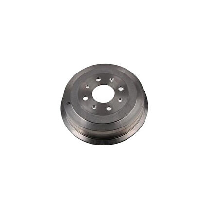 Fiat Punto Arka Fren Kampanasi (2012-2017) 1.2 55701379