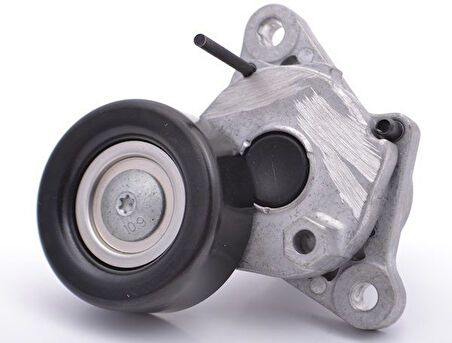 Kia Picanto Alternatör Gergisi Komple (2004-2011) 1.1 CRDİ 252812A000