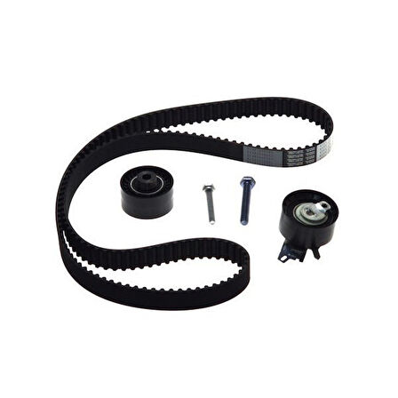 Citroen C5 Triger Seti (2000-2005) 2.0 0831T4