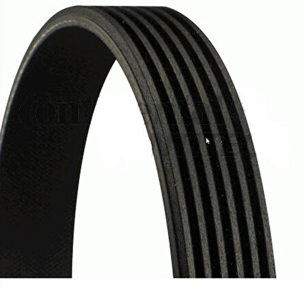  C-Max Vantilatör Kayişi (2003-2015) 1.6 L DURATEC Tİ-VCT  044903137AE