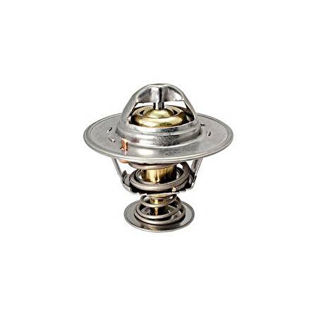  Focus Termostat (2012-2019) 1.0 L ECO BOOST CM5G61J20AA