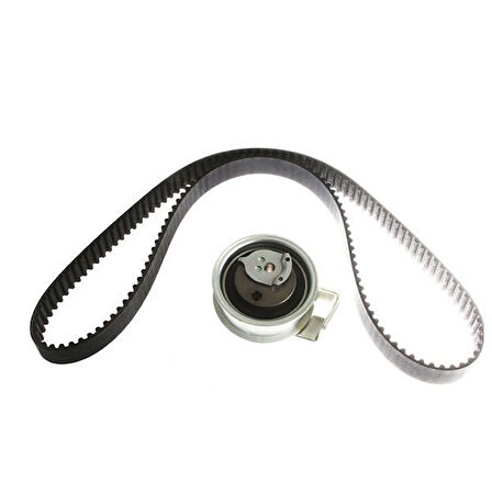 Volkswagen Golf Triger Seti (1998-2004) 1.8 06A198119A