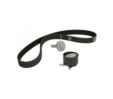 Renault Kangoo Triger Seti (2013-2021) 1.5 DCI 130C19462R