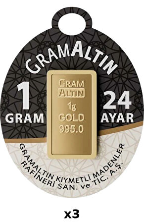 IAR 24 Ayar 3 Gram Külçe Altın