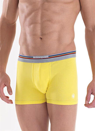 Blackpade Erkek  Colour Boxer 9550