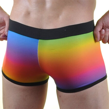 Renkli Erkek  Boxer