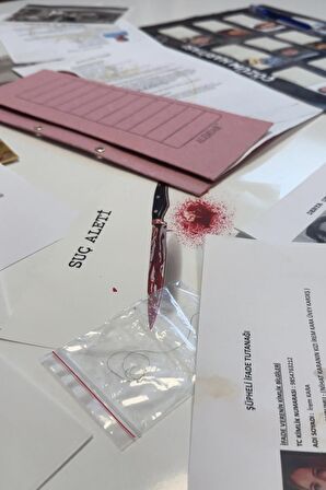 "Gizemli Dosya: Dedektiflik ve Cinayet Çözme Oyunu - Derya Demir Vakası"