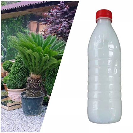 Dış Mekan Bitkileri İçin Özel İlaç Karışımı 500 ML