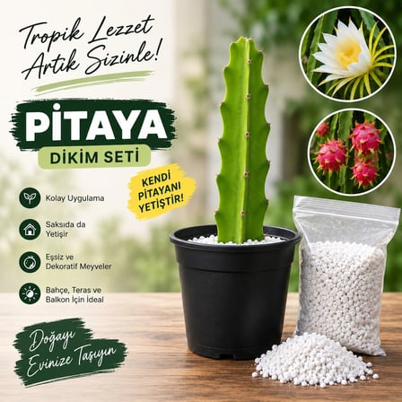 Pitaya Ejder Meyvesi Köklendirme Seti 20-30 cm Çelik + Saksı + Perlit