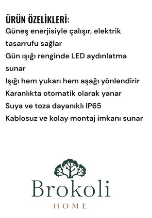 Solar Güneş Enerjili 10 LED li Aplik Duvar Aydınlatma Çift Yönlü Gün Işığı Bahçe Dekorasyon