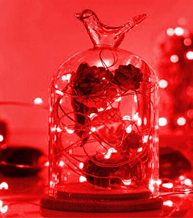 Ev Balkon Ve Parti İçin 3 Metre Pilli Kırmızı Renk Peri Led Yılbaşı Süsü Işık 