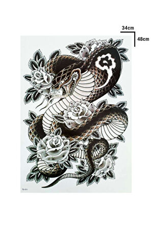 Geçici Yılan Ve Gül Modelli Sırt Dövme Tattoo