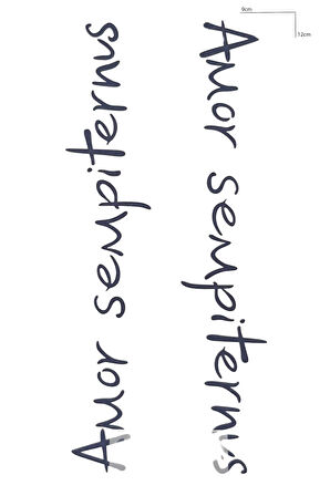 Yazılı 12 Saat Sonra Kararan Geçici Dövme Tattoo