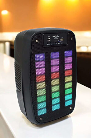 Kablosuz Bluetooth Hoparlör Taşınabilir 6.5 inç LED Işık Kareoke