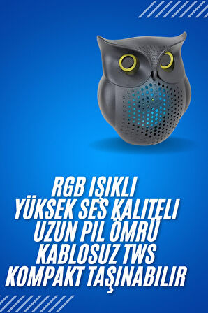 Siyah Bluetooth Hoporlör Baykuş Speaker Bluetooth 5.0 Bağlantılı