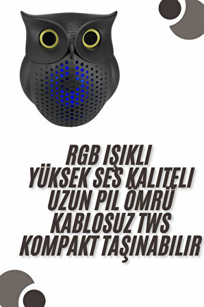 Bluetooth Hoparlör TWS Kablosuz RGB Işıklı Dekoratif Taşınabilir Baykuş