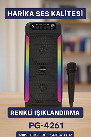 Yüksek Ses Güçlü Kablosuz Hoparlör  Karaoke Mikrofonlu