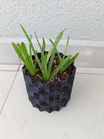 07 Geometrik Saksı Drenajlı Siyah - Saksılık