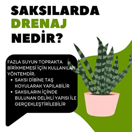 07 Geometrik Saksı Drenajlı Beyaz - Saksılık