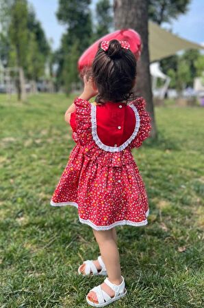 Dantel Ve Fırfır Detaylı Çiçekli Kırmızı Kız Çocuk Bebek Elbise