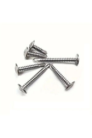 3,9x16 RYSB Pul Başlı Matkap Uçlu Vida 100'lü