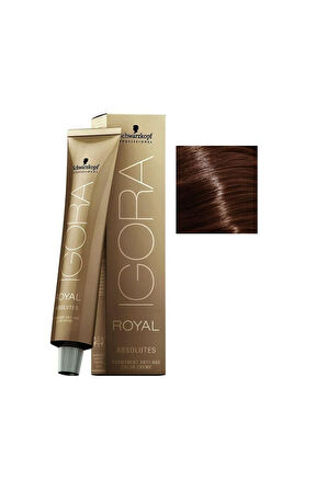 9 ADET Igora Royal Absolutes 6-60 Koyu Kumral Çikolata Doğal Saç Boyası
