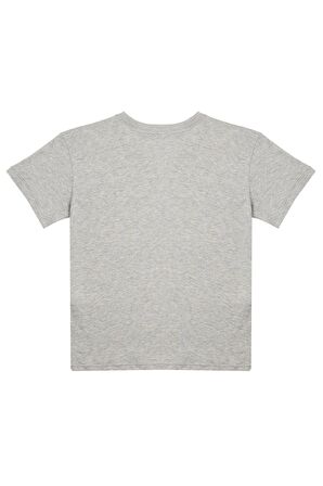 Erkek Çocuk Gri Melanj Tshirt - Logan