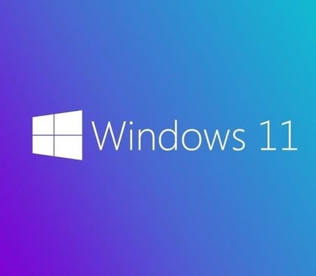 Microsoft MS WINDOWS 11 PRO 64 BIT TURKCE OEM FQC-10556 BSK2026