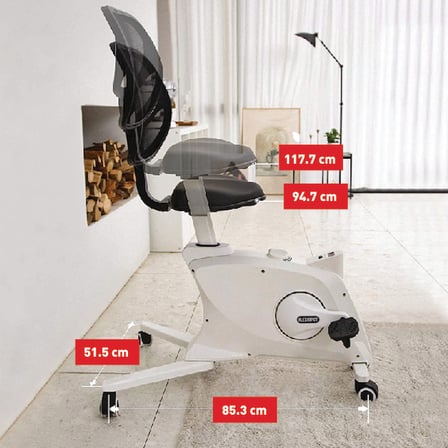 Tunturi DB 132 Home Office Bisikleti