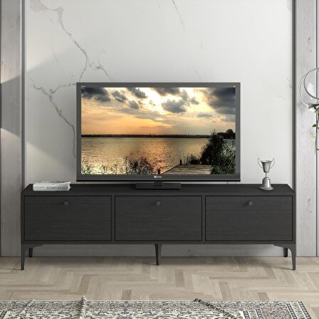 Wood'n Love Etna Premium Metal Ayaklı Dolaplı 160 Cm Tv Ünitesi - Wood Siyah / Siyah