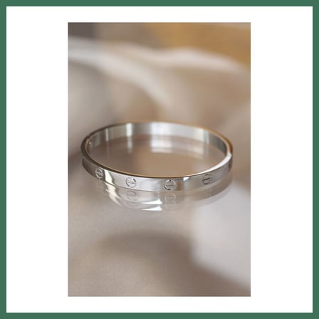 EN-CAG 316L Çelik Silver Renk Bilezik BSS