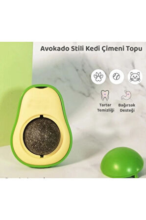 Avokado Kedi Otu Kedi Nanesi