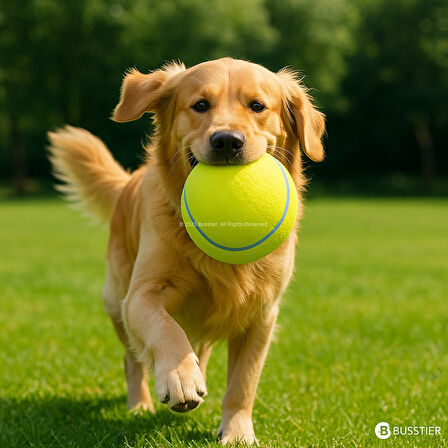 Busstier 14 cm Dev Köpek Tenis Topu – Dayanıklı, Diş Dostu, Açık Alan Oyuncağı