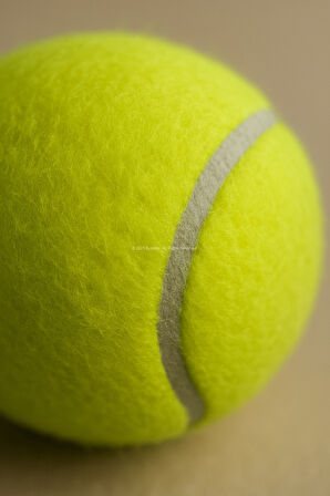 Busstier 2'li Köpek Tenis Topu – 7.5 cm Orta Boy, Dayanıklı, Diş Dostu, Eğitim ve Oyun Oyuncağı