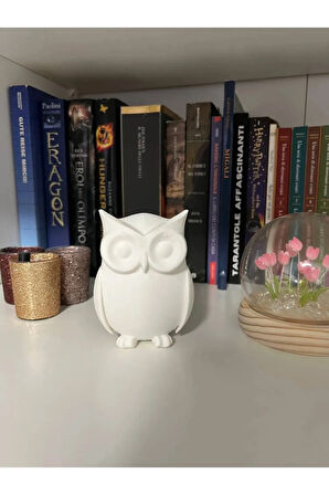 Just3dprintings Dekoratif Baykuş Biblo