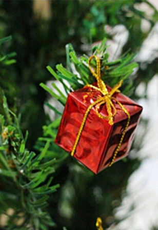 12 Adet Hediye Paketi  Renkli Noel  Yılbaşı Çam Ağacı Süsü 3 cm