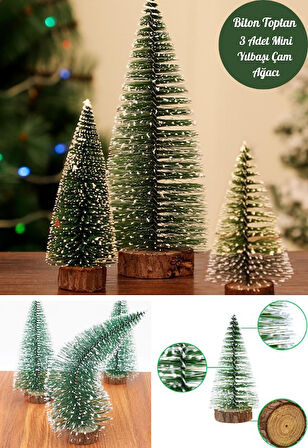 3 Lü Set Nevada Mini Çam Ağacı Uçlarına Kar Yağmış Karlı Yılbaşı Hediyesi  15 - 12 - 8  cm
