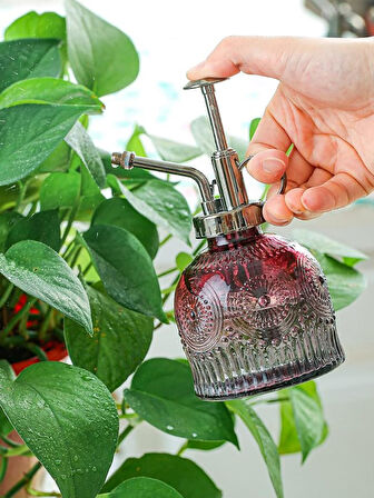 Vintage Cam Bitki Sulama Spreyi – Dekoratif Püskürtme Kolonya Şişesi 200 ml Kırmızı
