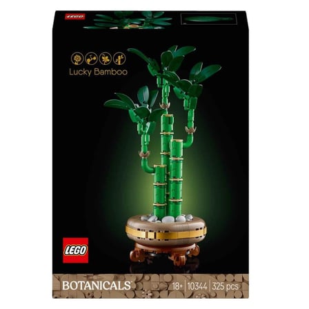 Bezos Botanicals Şans Bambusu 10344 BTKFZ