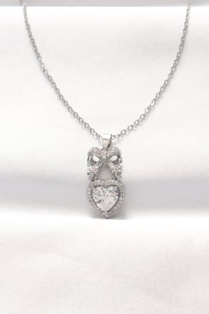 316L Çelik Silver Renk Zirkon Taşlı Kalpli Fiyonk Kolye 5886